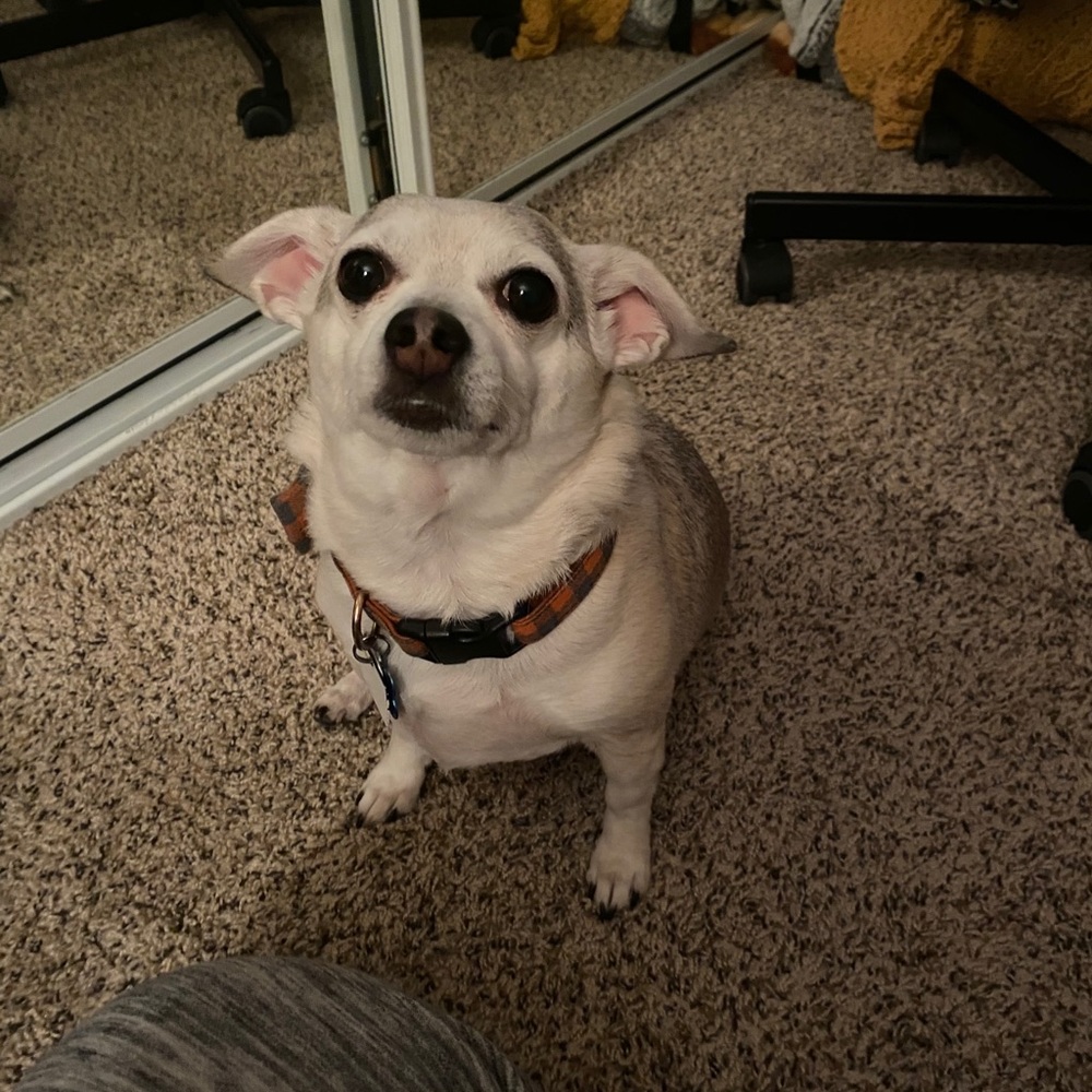 My Photographer’s Assistant